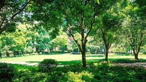 A lush park with mature trees, a well-maintained lawn, and a clear sky. - Pullman Shanghai Central-in XinTianDi & Yu Garden Area (Shanghai)