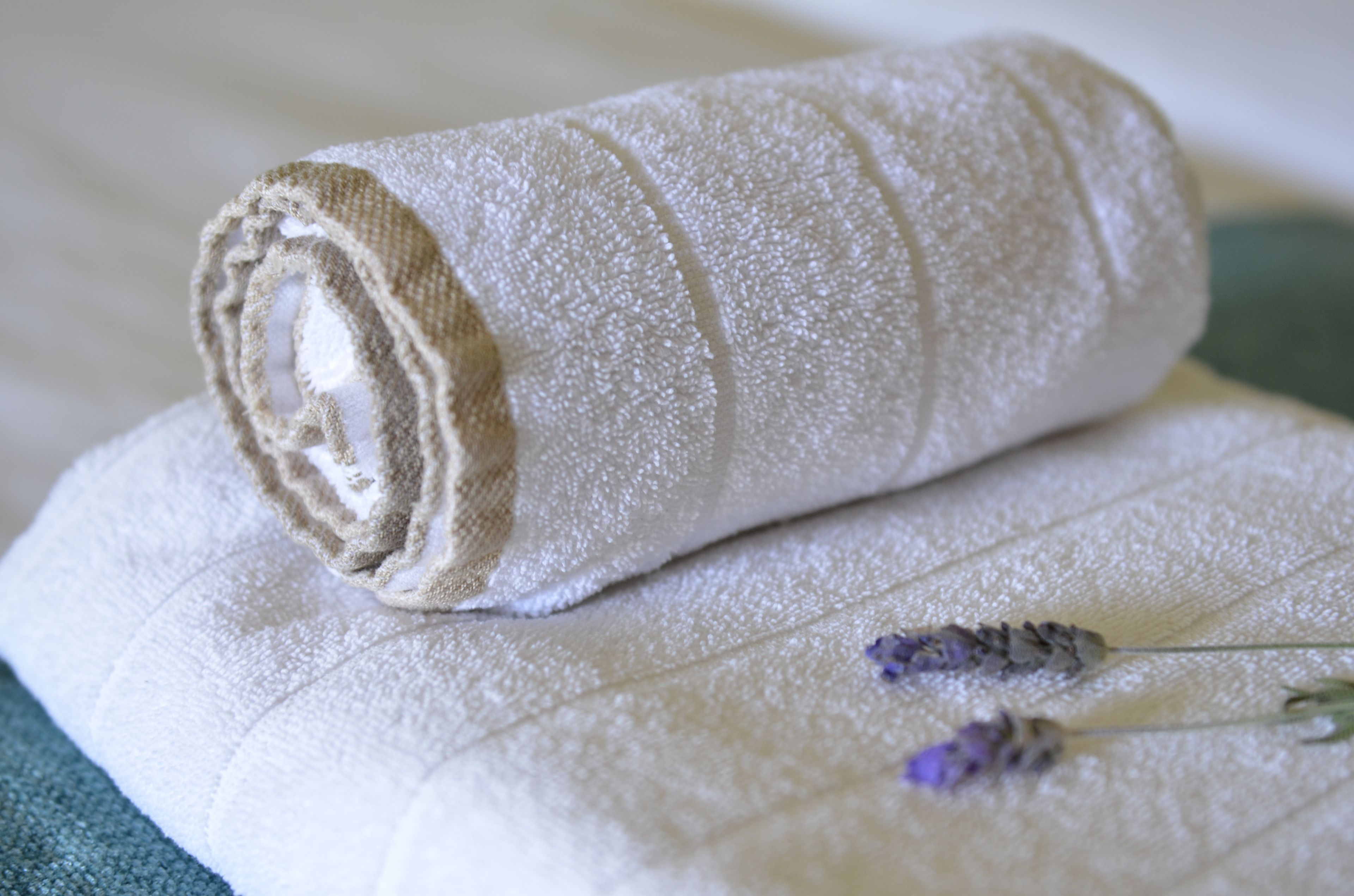 Foto - Cultivar Boutique Hotel