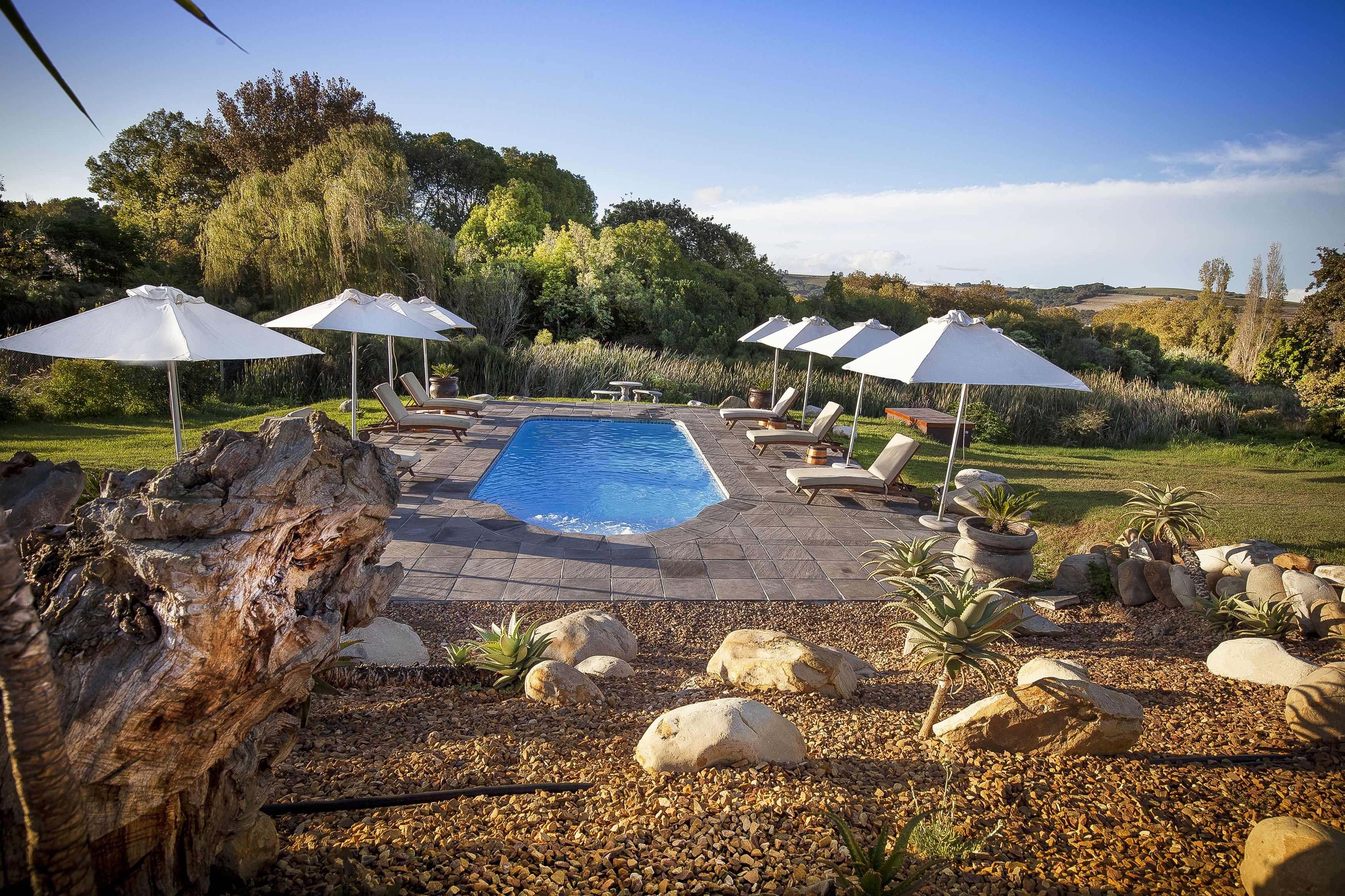 Foto - Cultivar Boutique Hotel