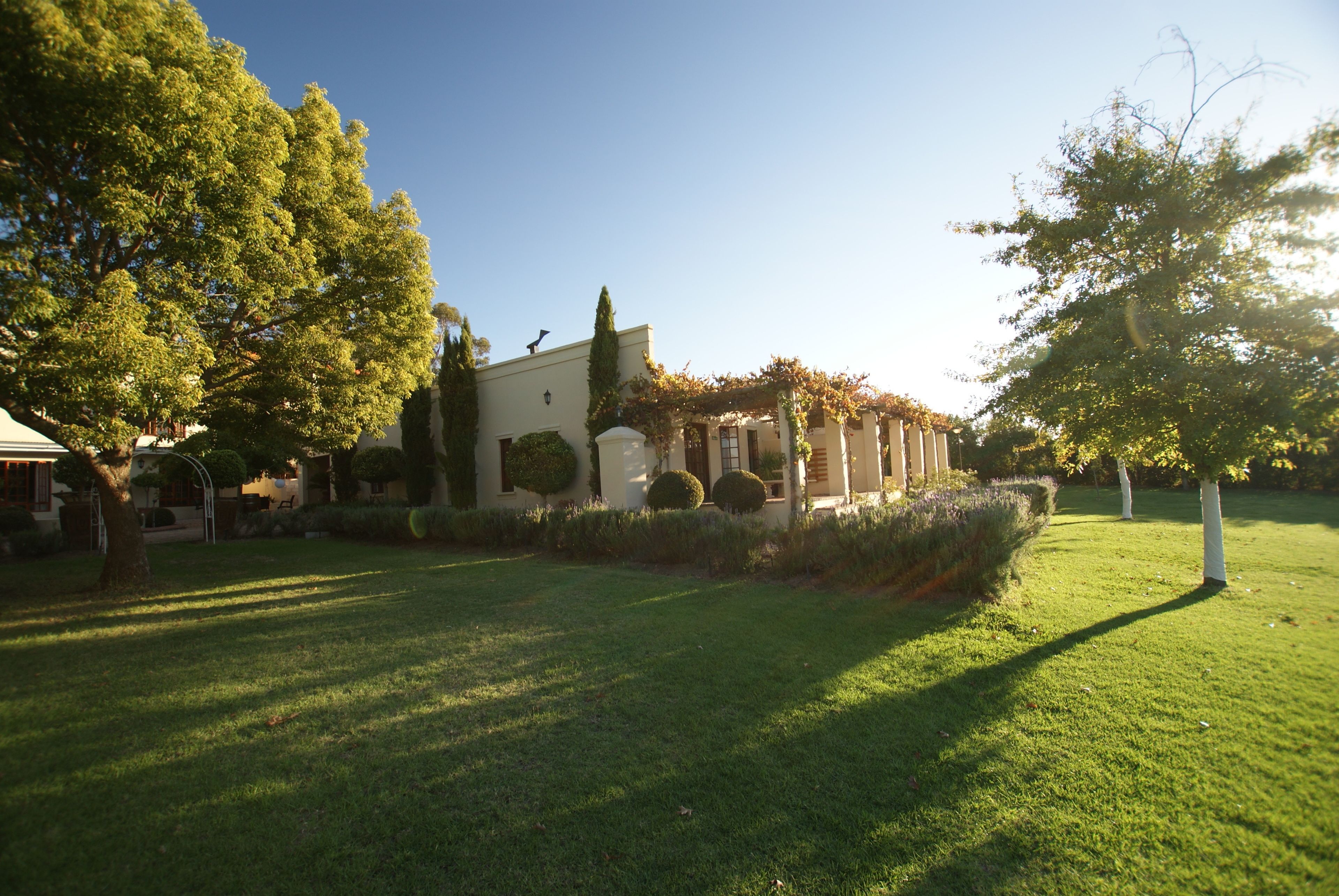 Foto - Cultivar Boutique Hotel