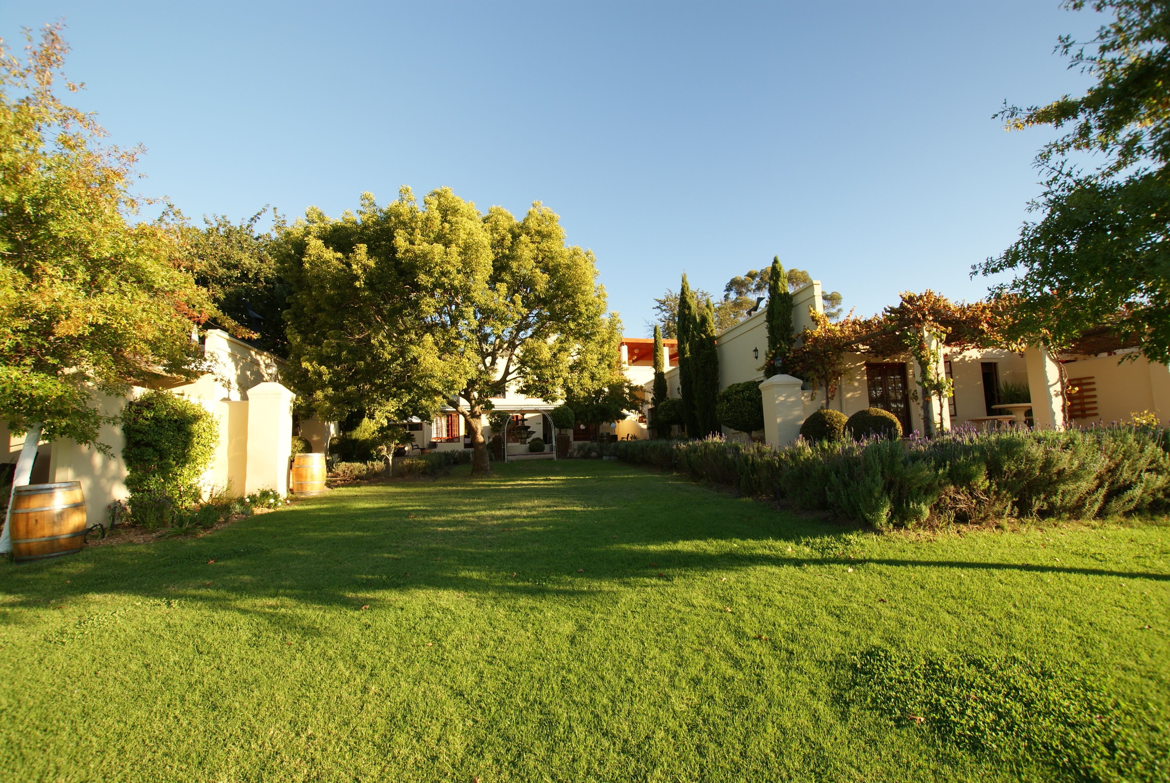 Foto - Cultivar Boutique Hotel