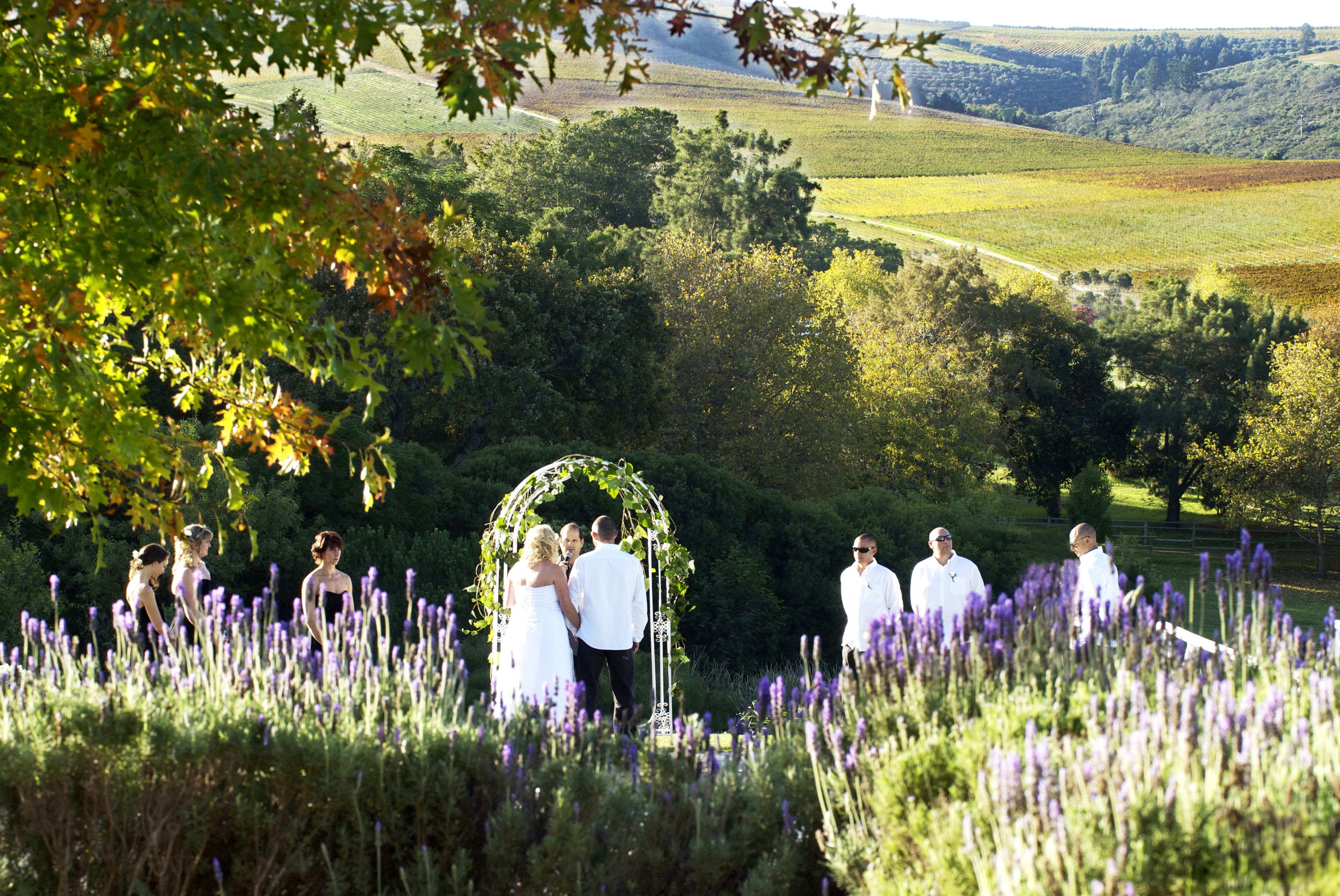 Foto - Cultivar Boutique Hotel