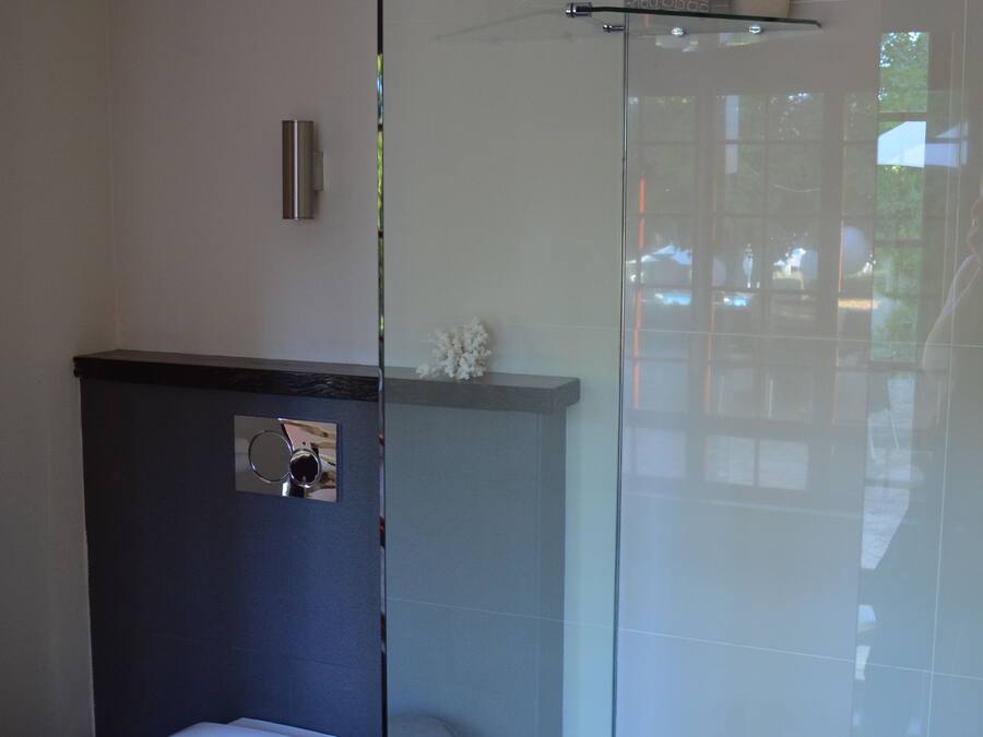 A modern bathroom with a glass shower enclosure, a toilet, and a small shelf with decorative items.