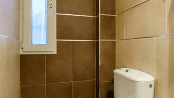 Ein Badezimmer mit Toilette, Fenster und Toilettenpapierhalter.