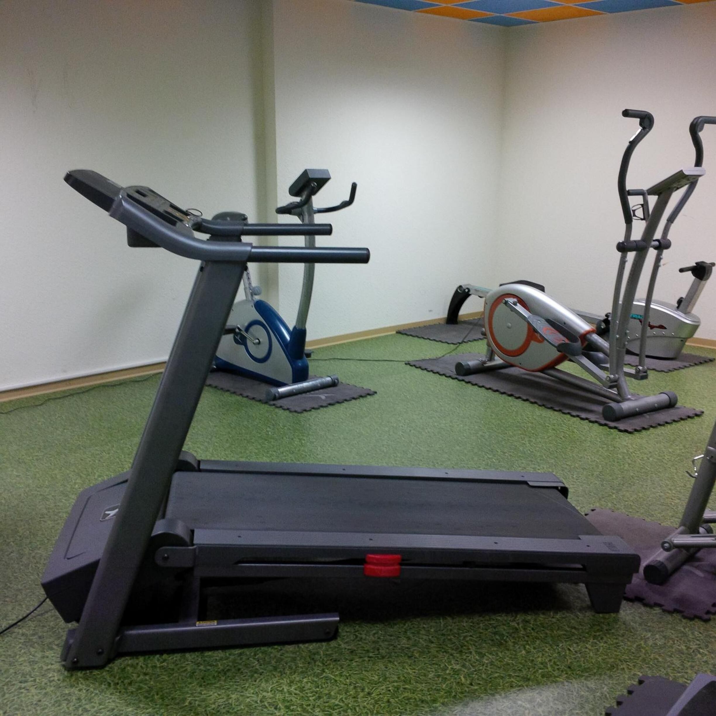 A gym with treadmills, stationary bikes, and exercise mats.