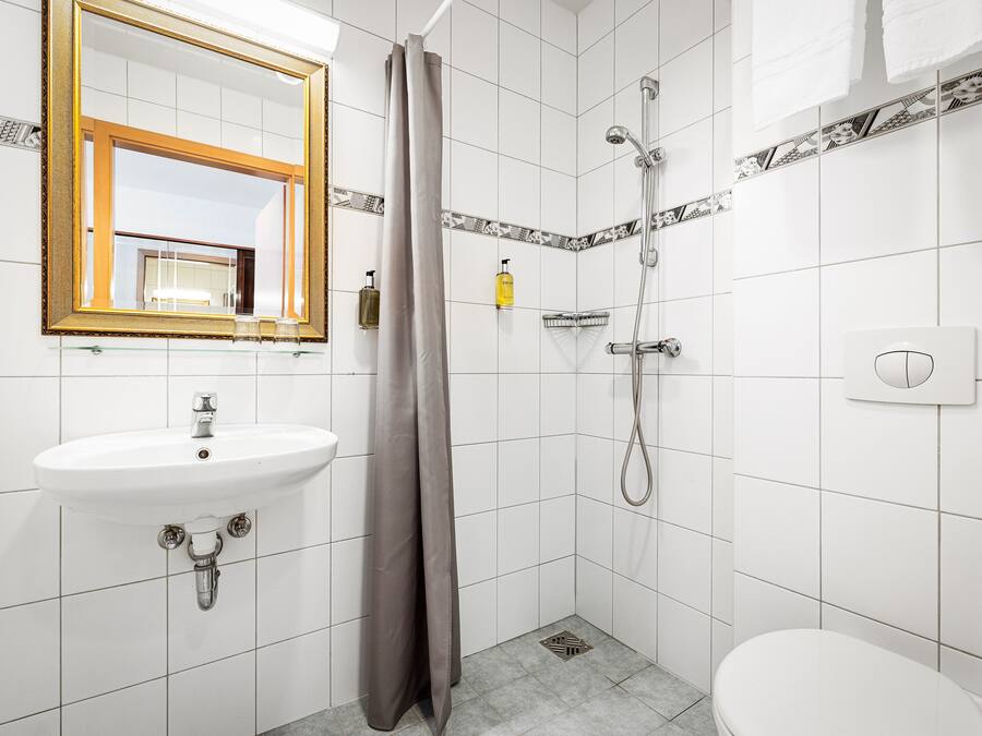 A bathroom with a sink, mirror, shower, and toilet.