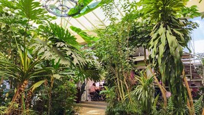 Un jardin intérieur abritant une variété de plantes tropicales et doté d’un chemin central.
