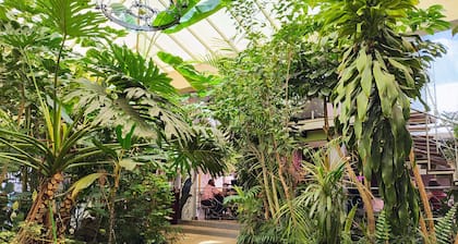 Hotel Jardines del Centro