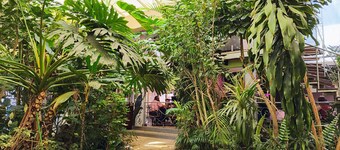 Hotel Jardines del Centro
