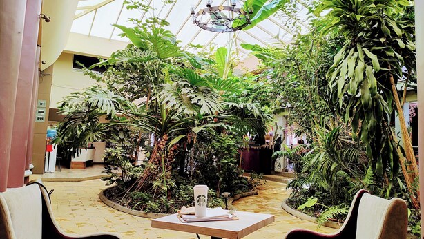 Un vaste jardin intérieur agrémenté de diverses plantes tropicales et doté d’un plafond en verre. On y trouve une table avec une tasse Starbucks et un carnet, ainsi que deux chaises placées face au jardin.
