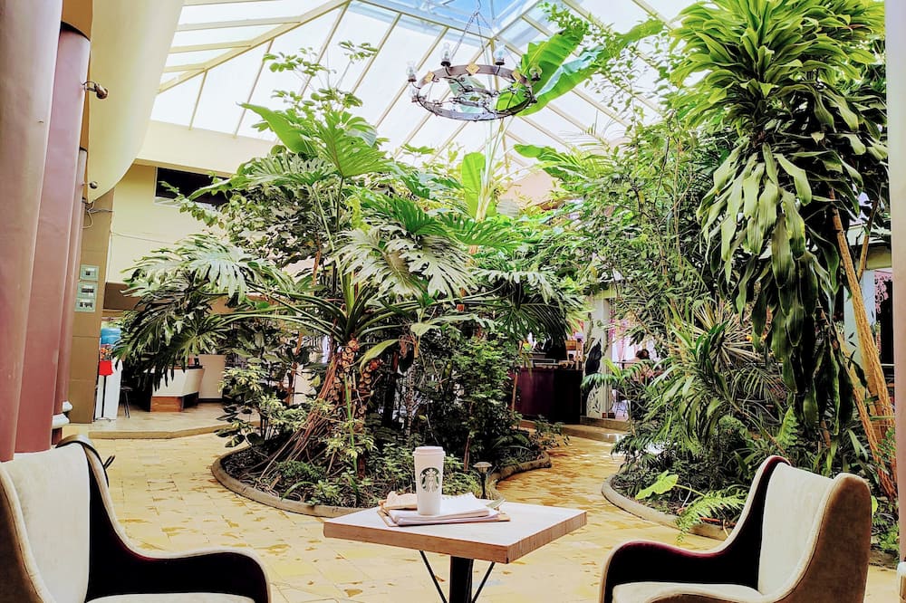 Hotel Jardines del Centro