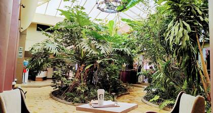 Hotel Jardines del Centro