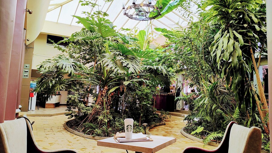 Hotel Jardines del Centro