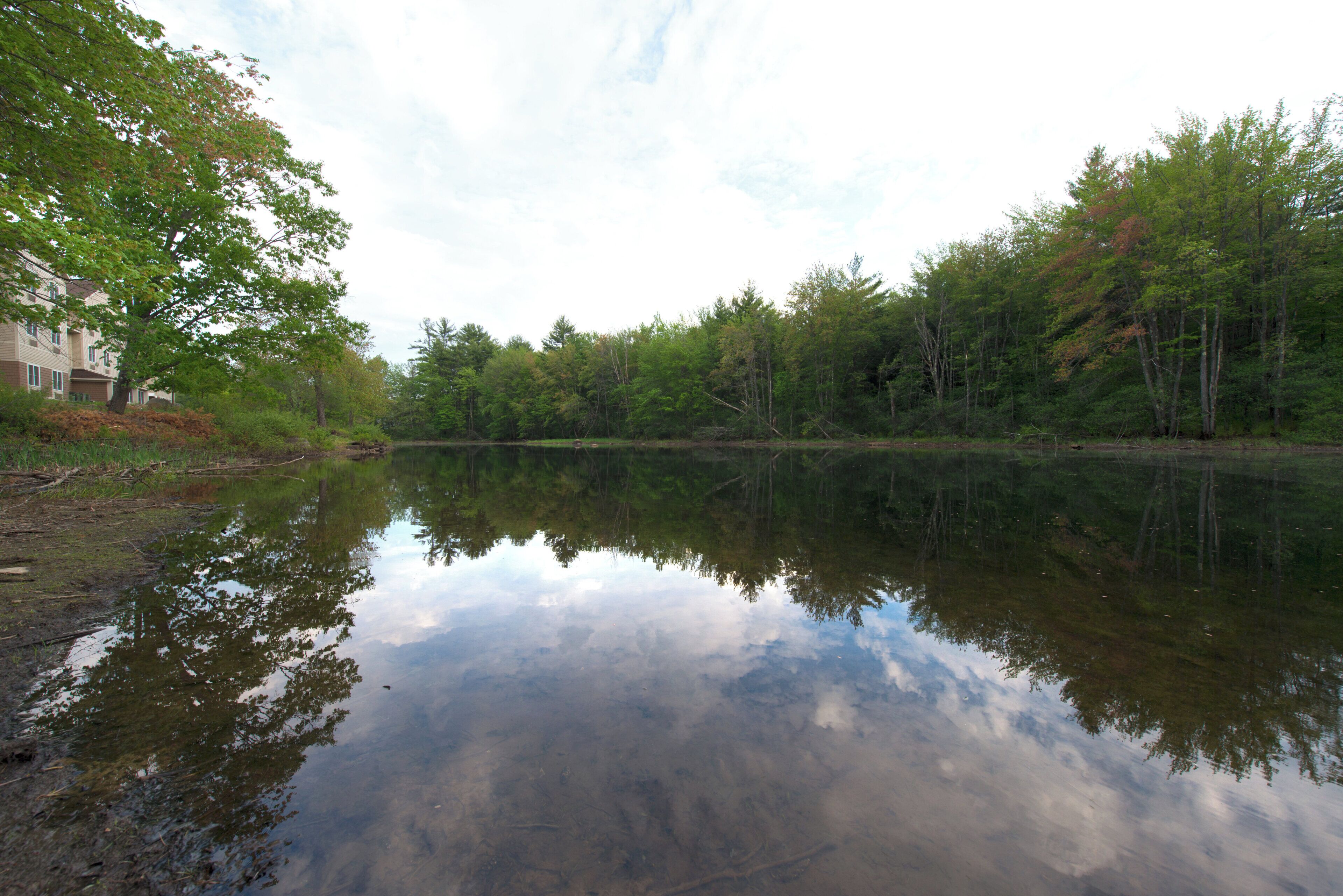 A calm lake with reflections of trees and a building on the left.