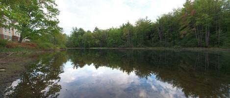 A calm lake with reflections of trees and a building on the left.