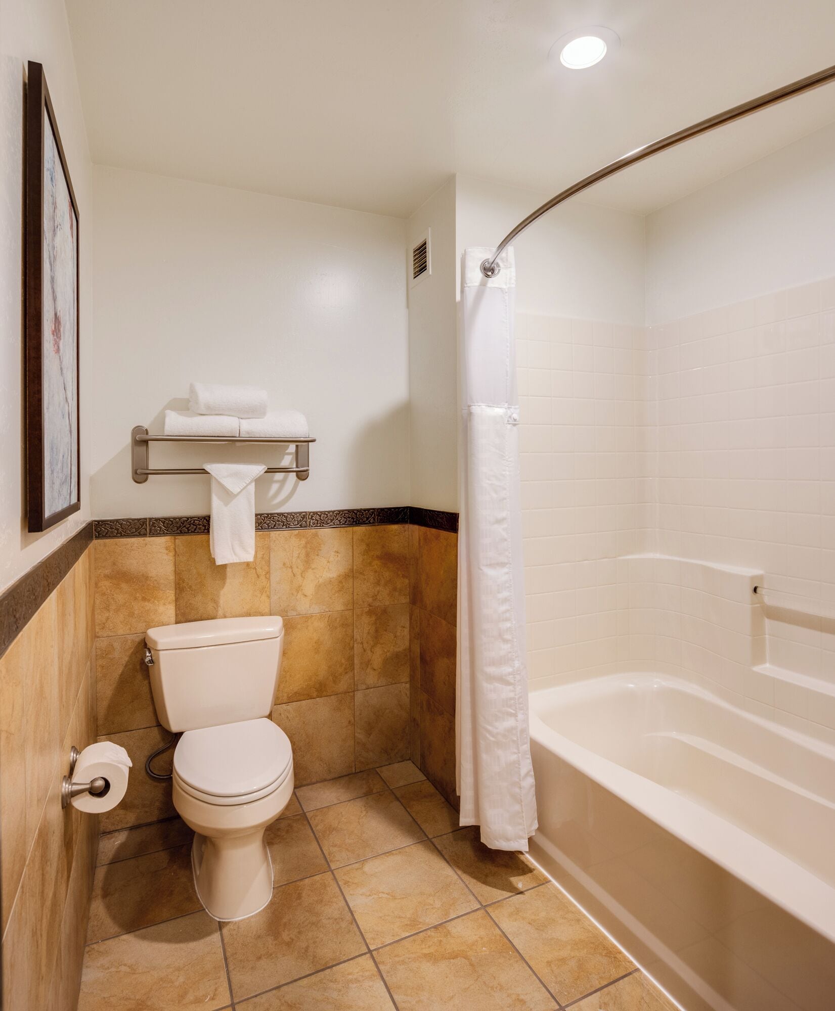 combined shower/bathtub, free toiletries, hair dryer, towels