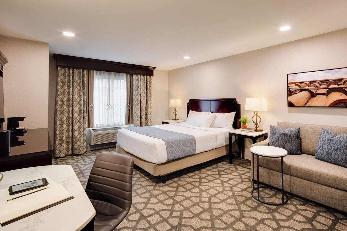 Una habitación de hotel con cama, sofá, escritorio y silla.