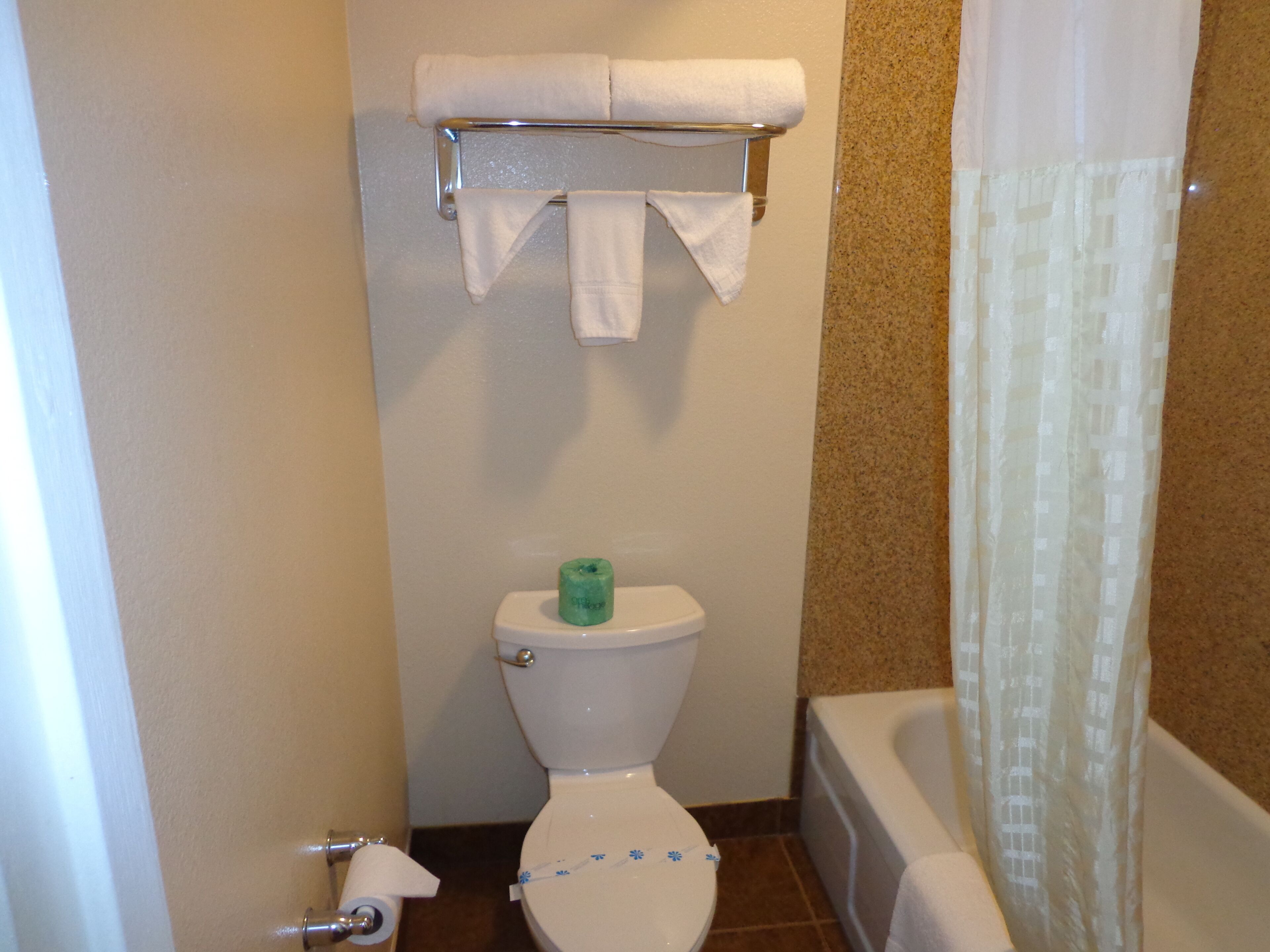 A bathroom with a toilet, a towel rack, a roll of toilet paper, and a bathtub.