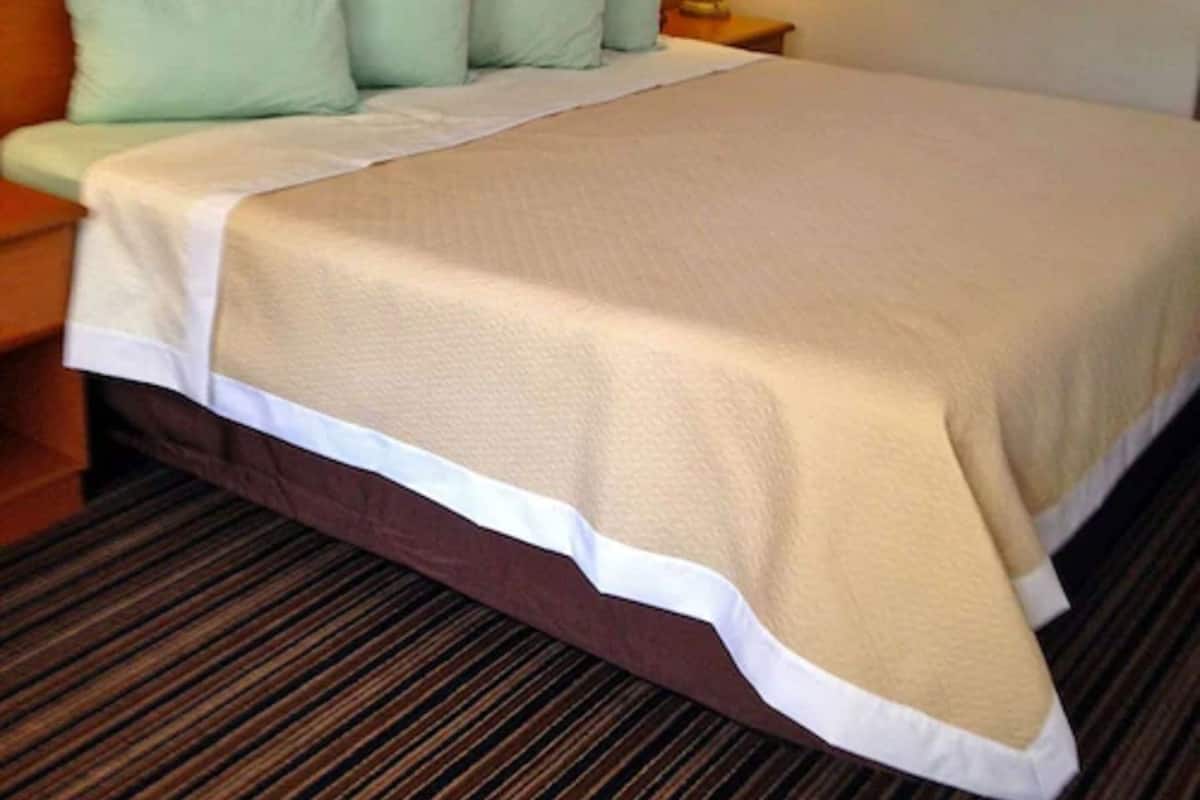 Une chambre d’hôtel avec un lit, des oreillers, une table de chevet, une lampe et un tableau encadré au mur.
