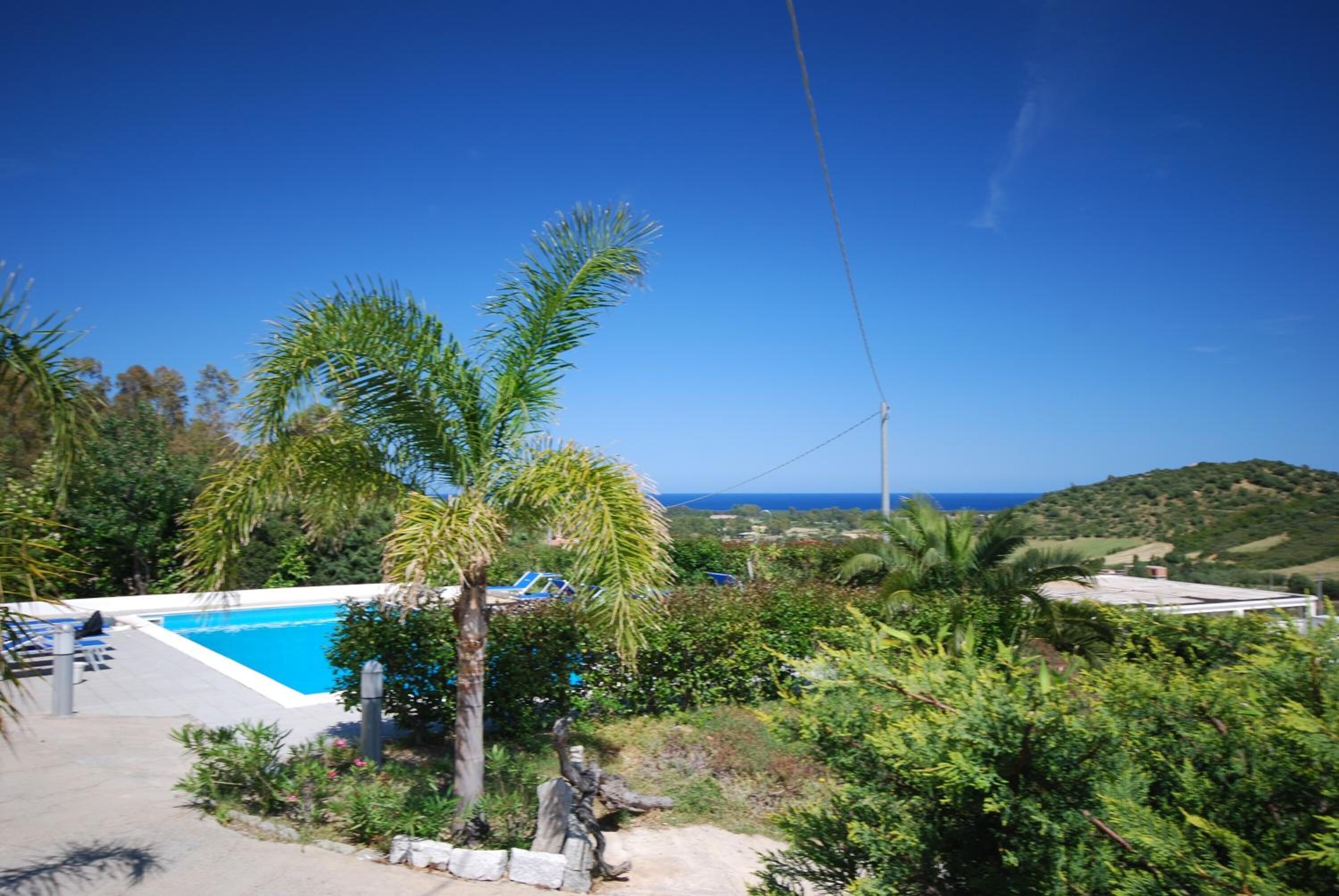 A pool surrounded by lush greenery and a clear view of the ocean.
