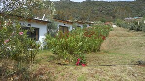 A row of white houses with sloped roofs, surrounded by lush greenery and flowering plants. - Natur Hotel Tanca (Cardedu)