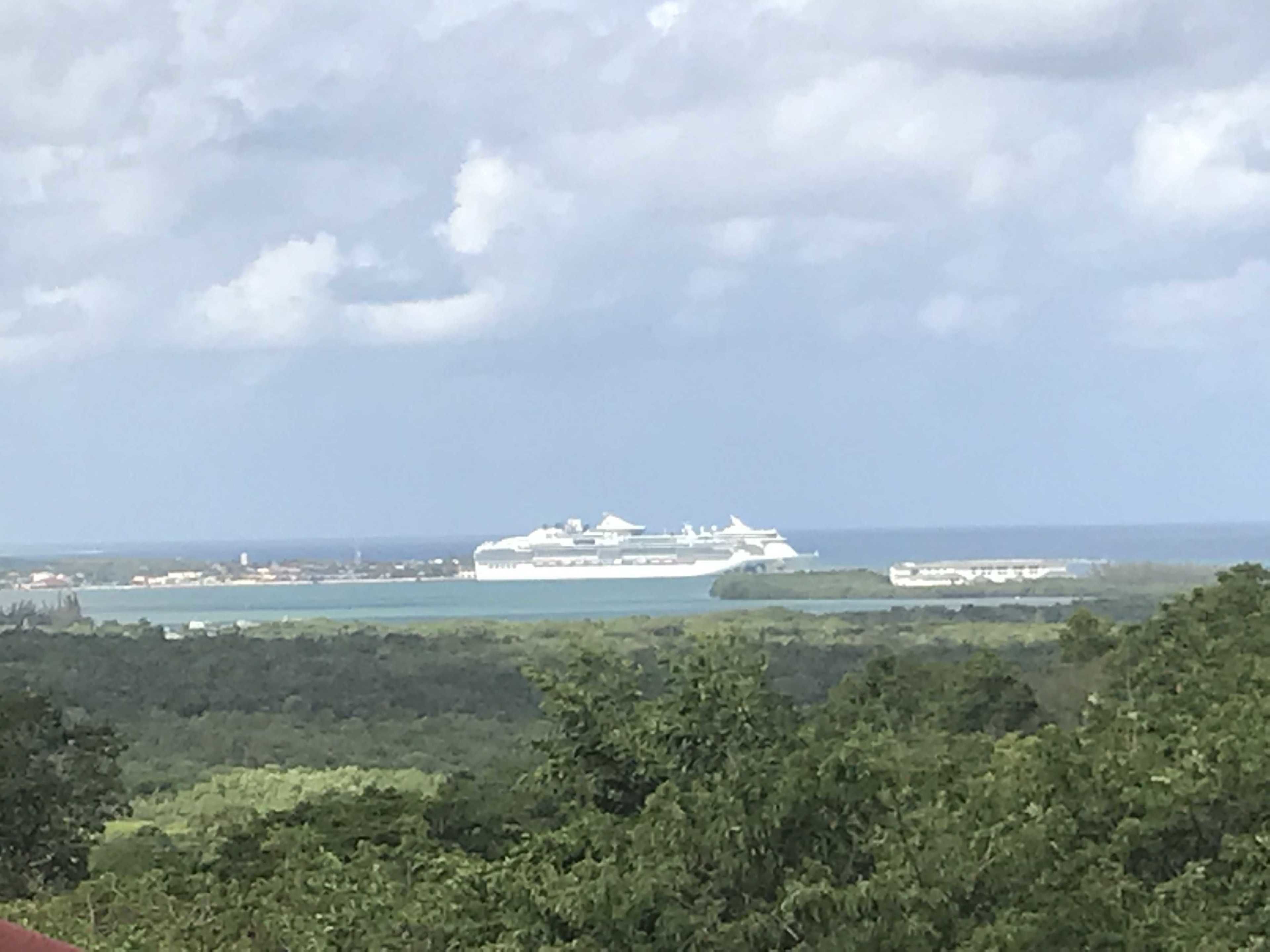 Un gran crucero atracado en un puerto, con vistas a la vegetación y la costa circundantes.