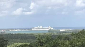 Un gran crucero atracado en un puerto, con vistas a la vegetación y la costa circundantes.