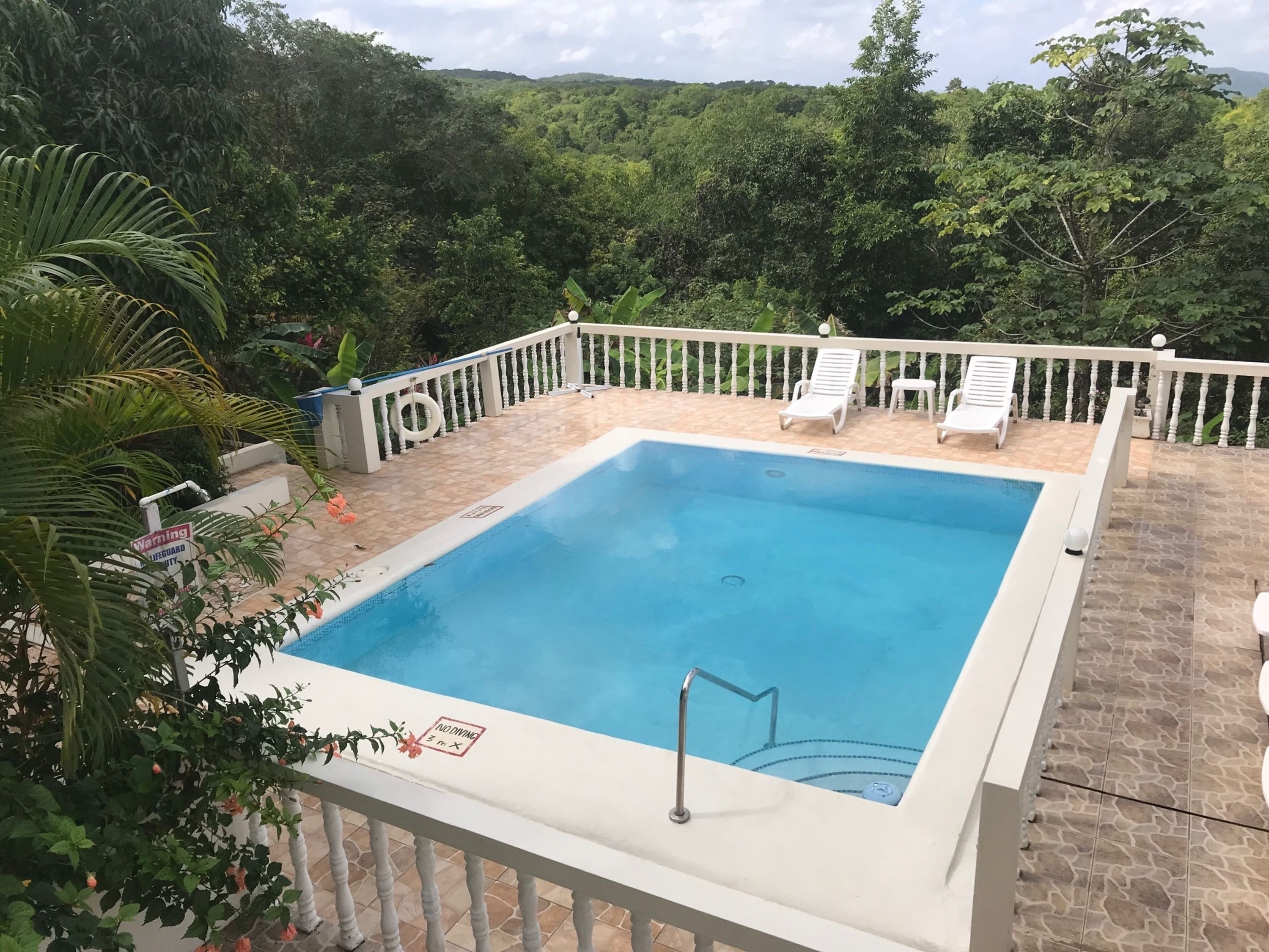 Une piscine carrée, dotée d’une terrasse et d’un garde-corps blancs, entourée d’une végétation luxuriante et d’arbres.