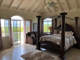 Presidential Suite (AC fee not included in rate) | View from room