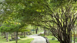 A paved pathway in a park with trees and a bench. - Amaya Lake Dambulla (Kandalama)