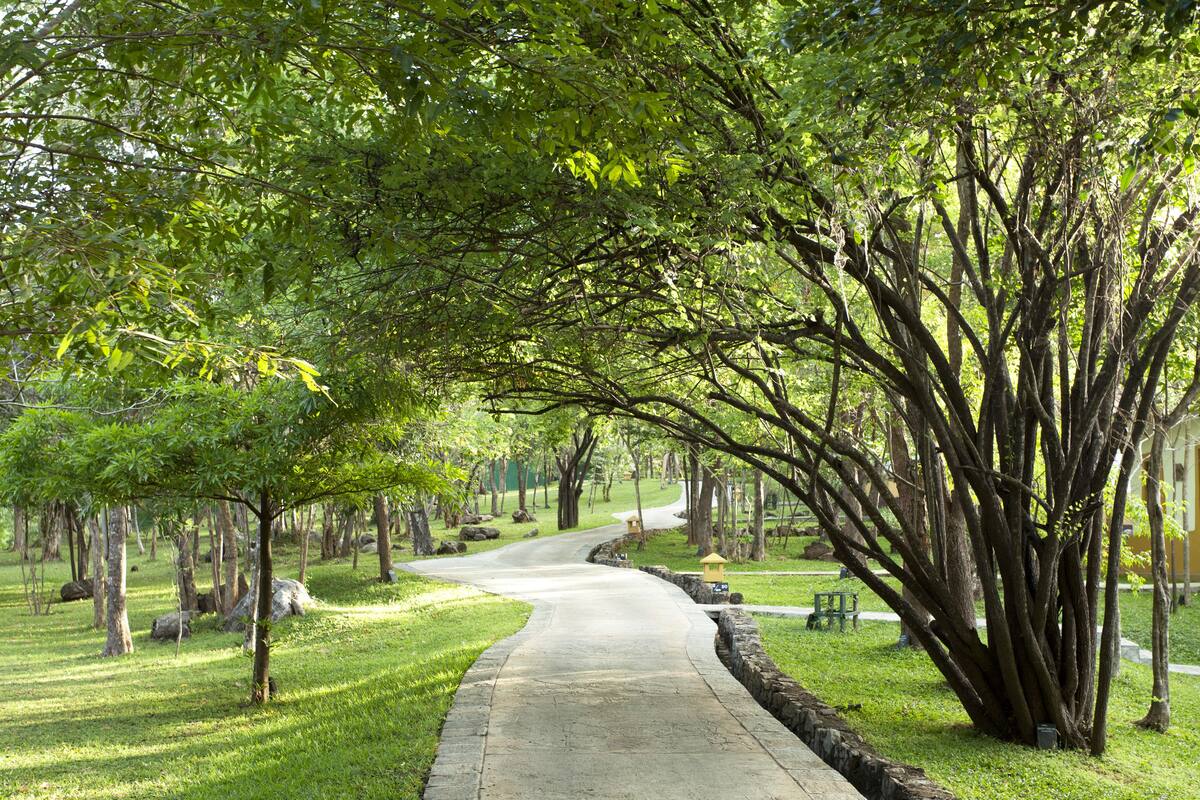 view from property