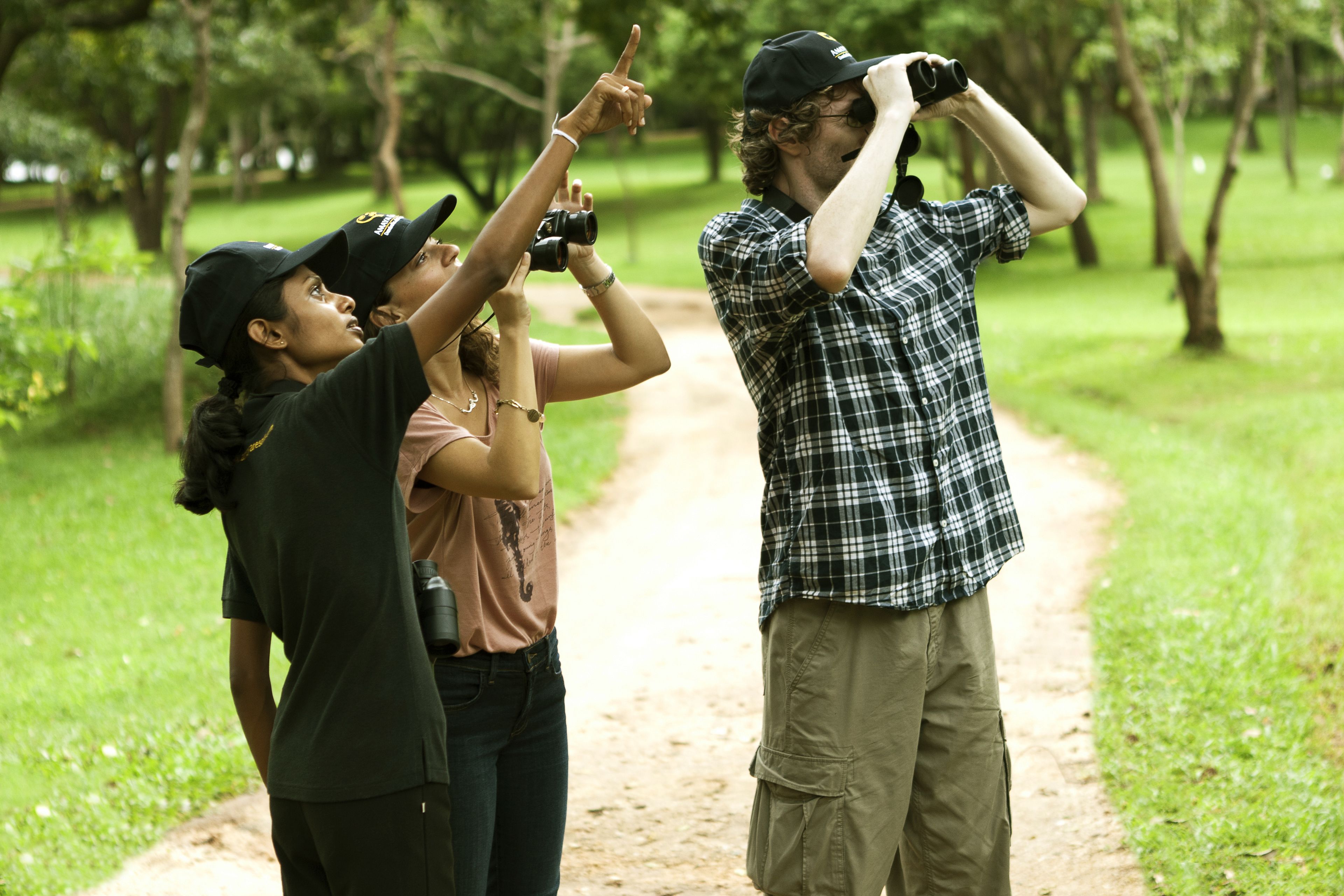 A pathway in a park with people taking photos.