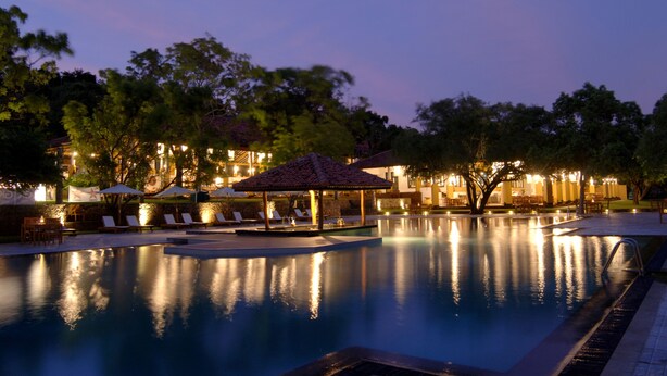 A swimming pool with lounge chairs and umbrellas, surrounded by trees and a building with lights. - Amaya Lake Dambulla (Kandalama)