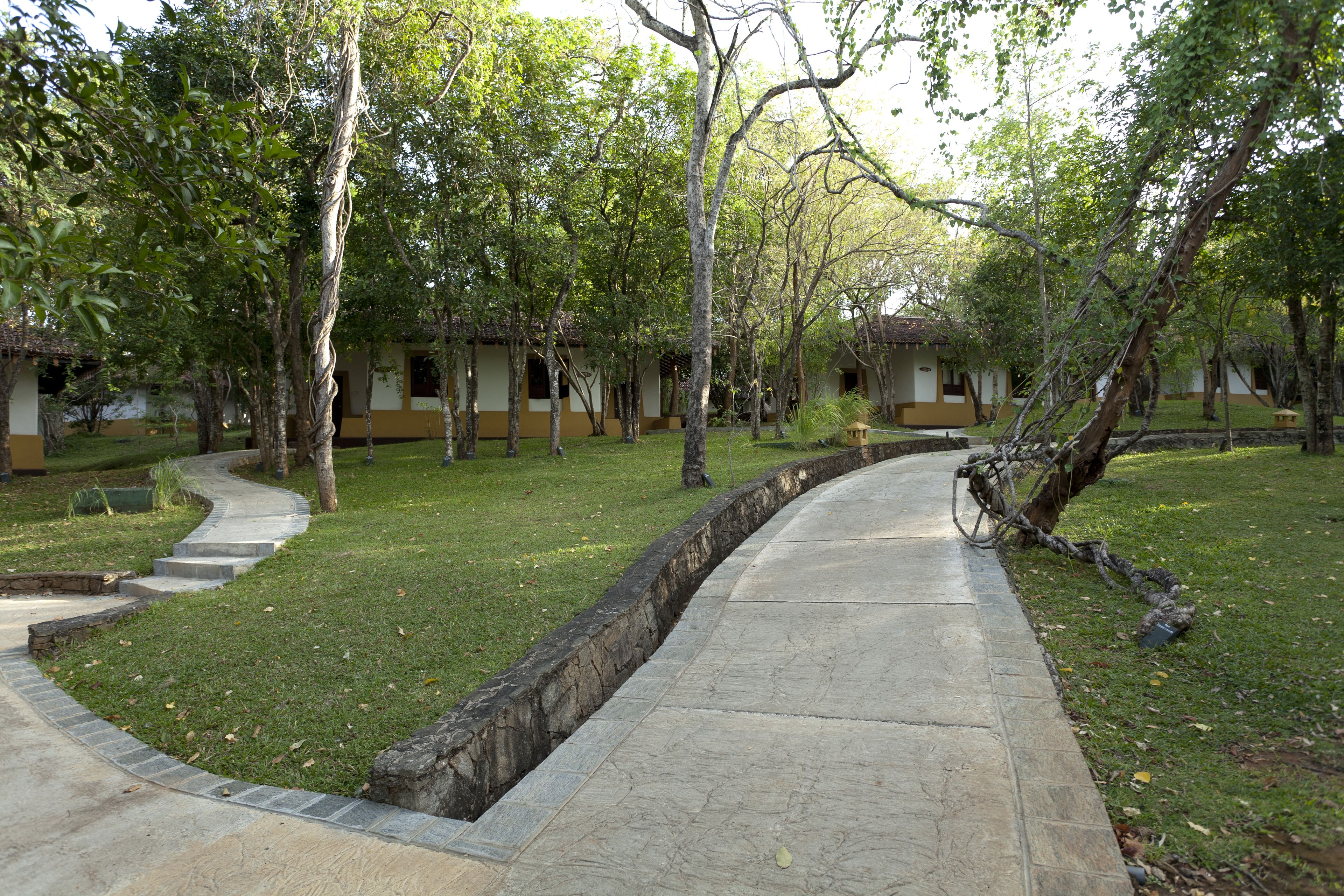A pathway leading through a courtyard with trees and a building with yellow and white walls.
