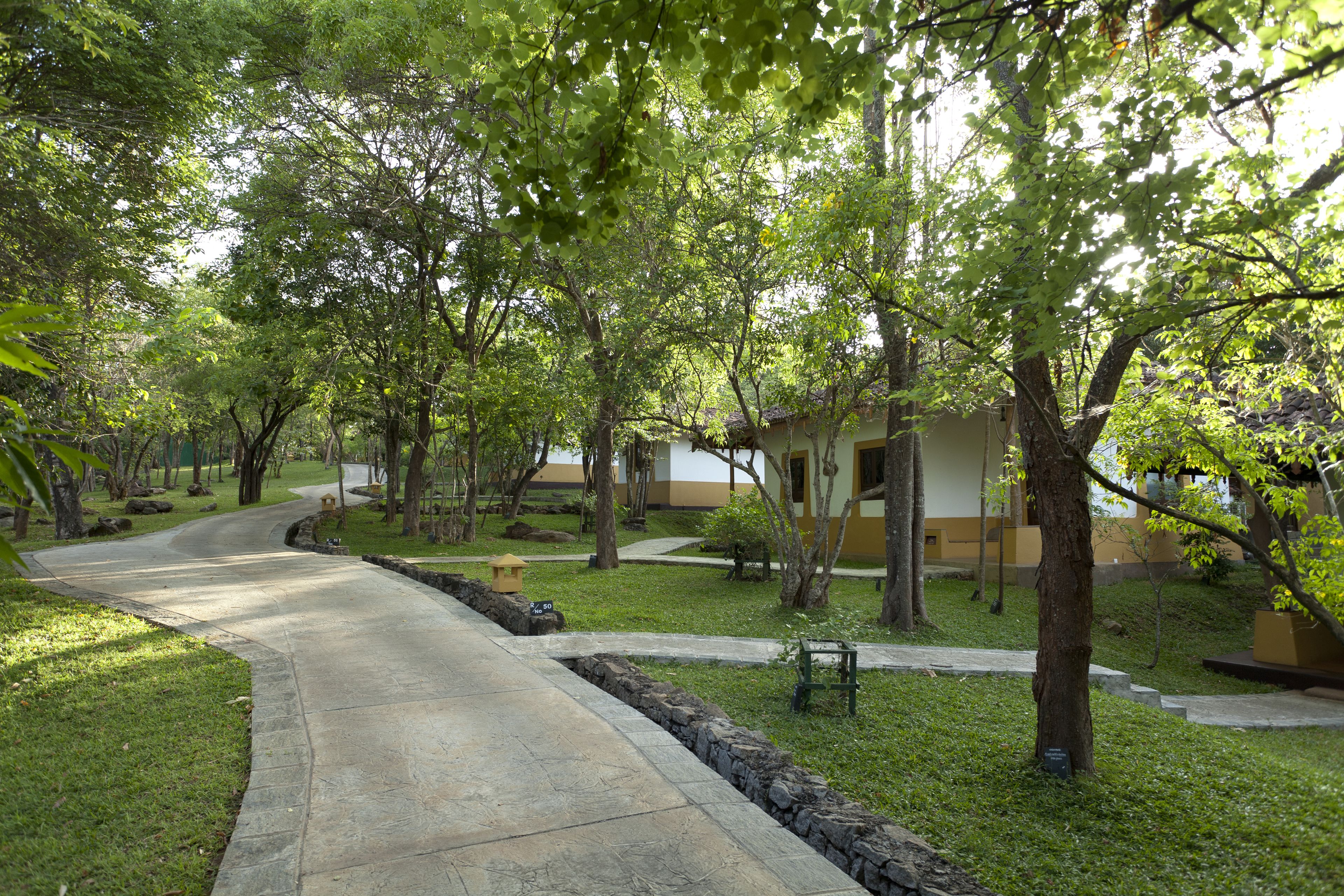 A pathway leading to a building surrounded by trees and grass.