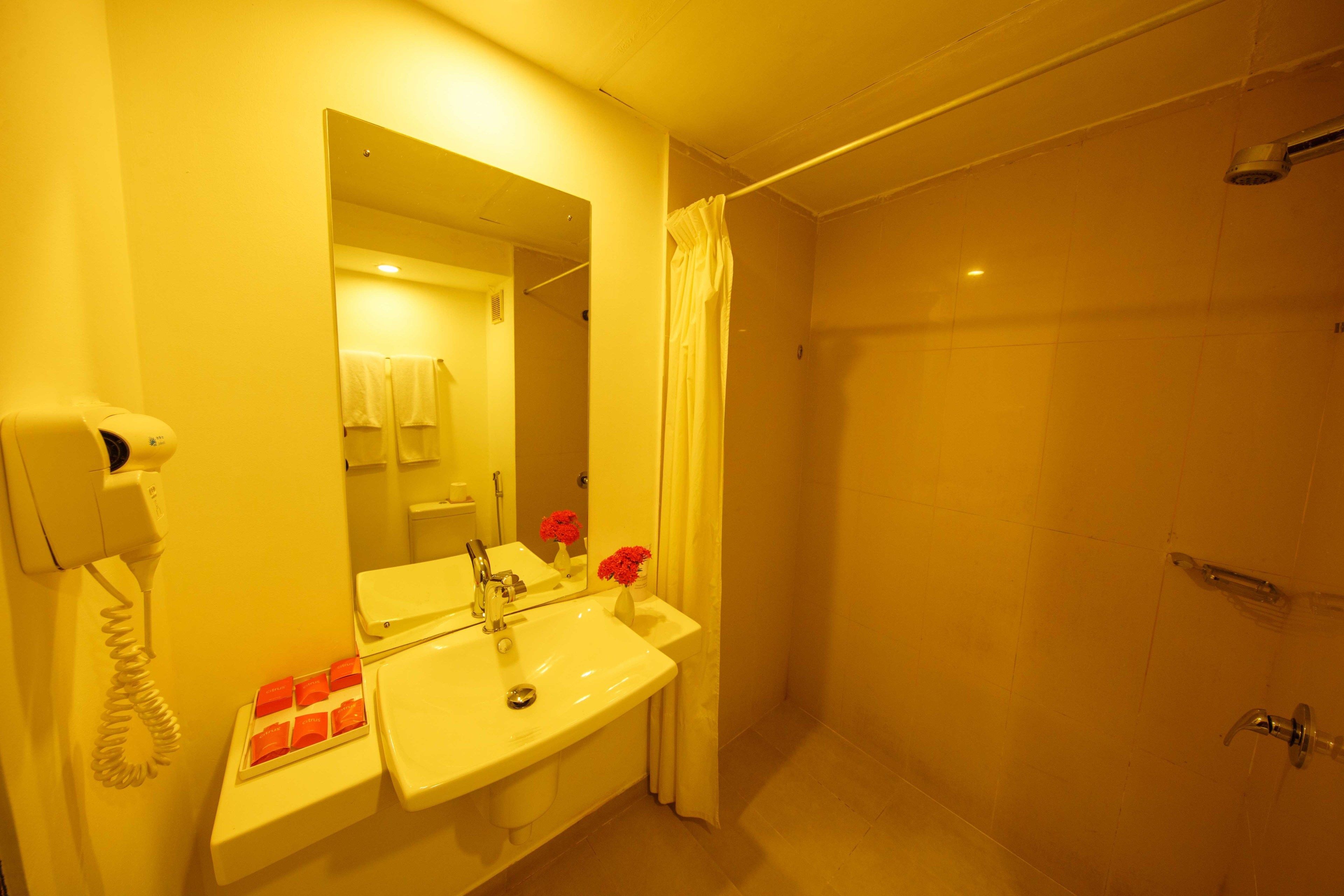 Baño con lavamanos, espejo y ducha.