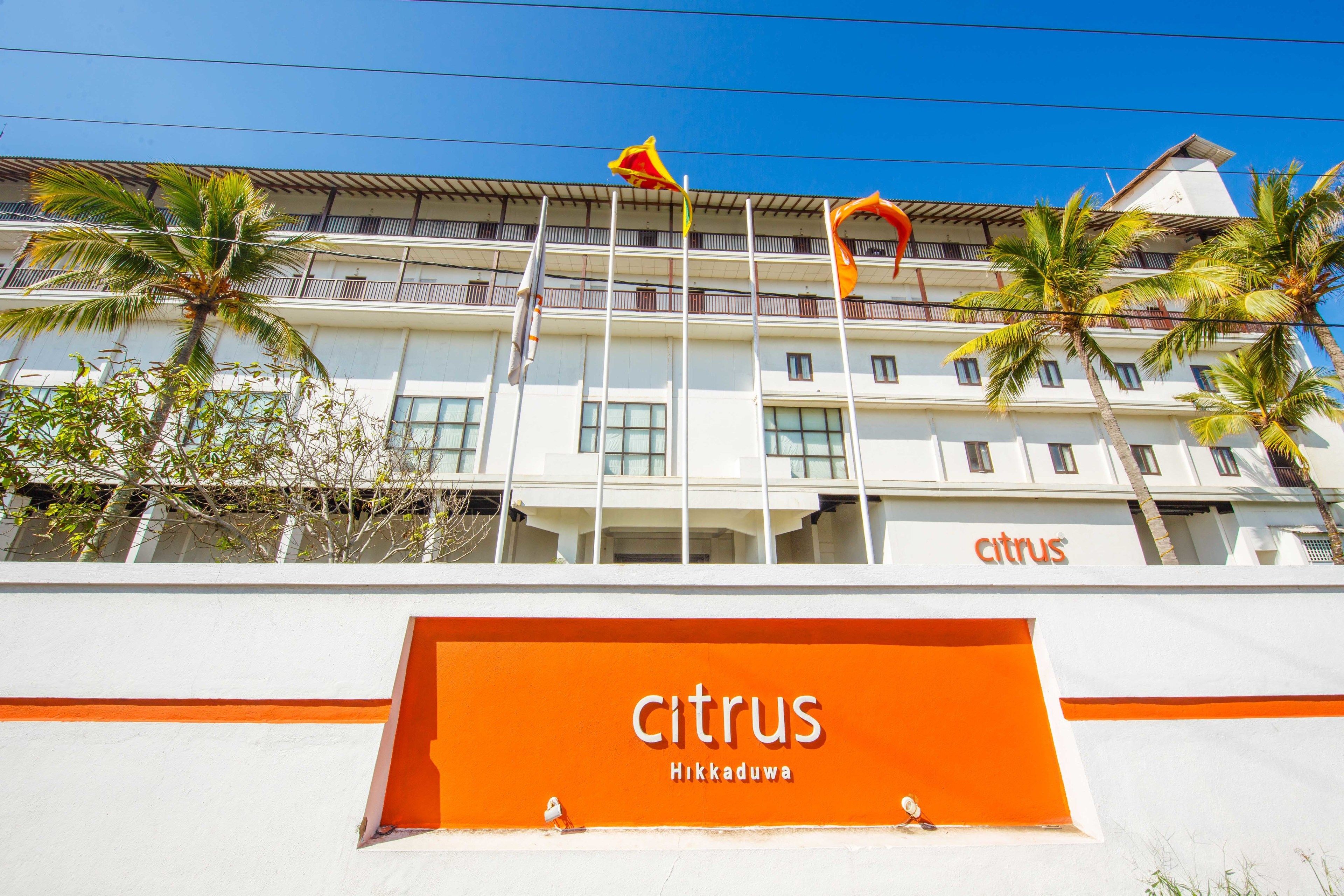 A hotel named 'Citrus Hikkaduwa' with a white facade, multiple balconies, and palm trees.