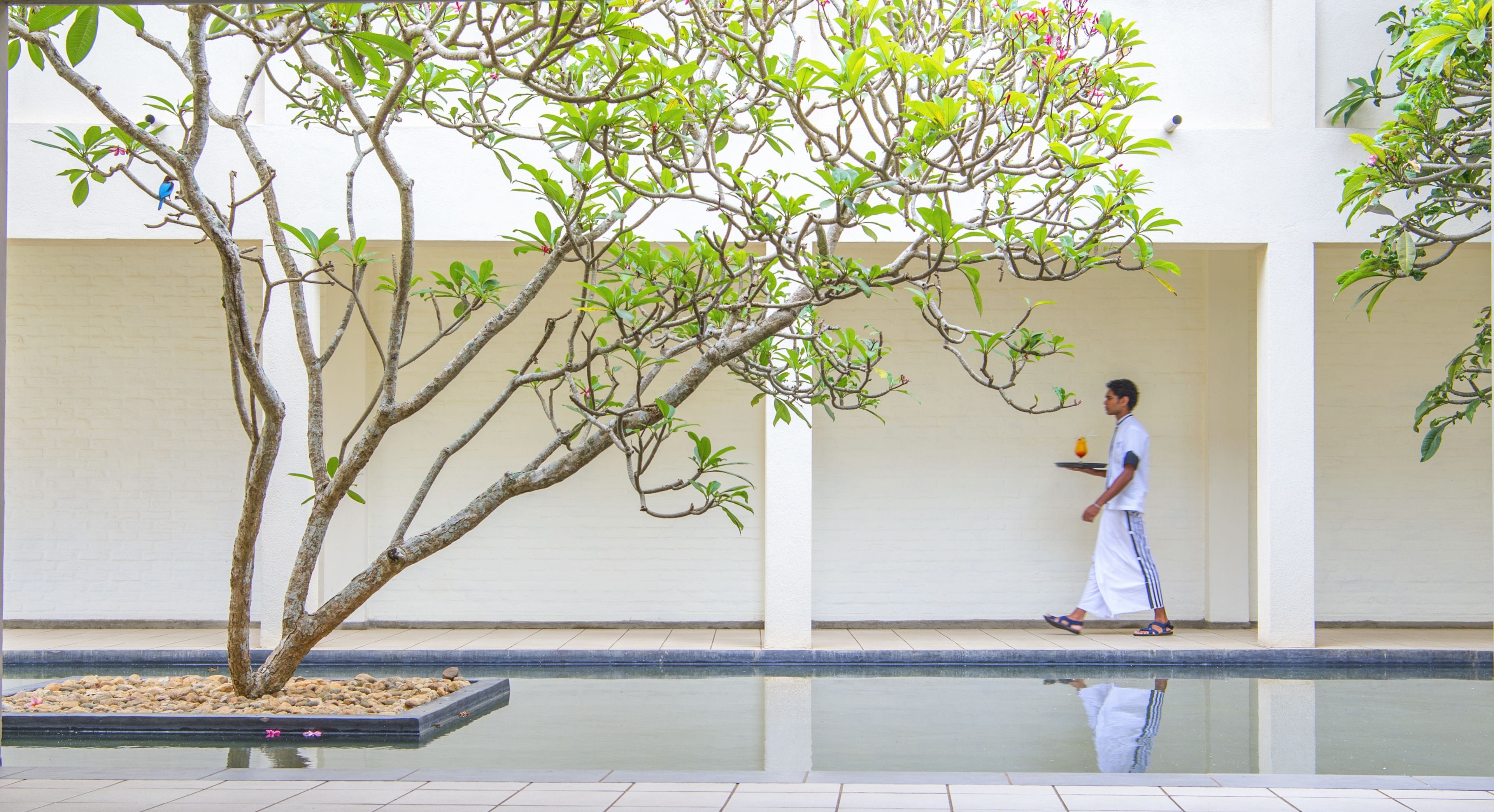 A man walking past a tree-lined pool area with a white building in the background.