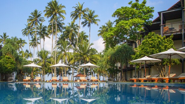 A pool area with lounge chairs and umbrellas, surrounded by tall palm trees and a clear sky. - Mermaid Hotel & Club (Wadduwa)