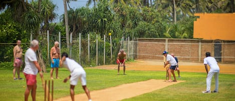 Un match de cricket est en cours sur un terrain herbeux, avec un mur de briques et des palmiers en arrière-plan.