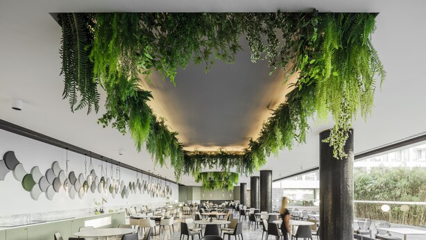 Un comedor amplio con varias mesas y sillas, techo decorado con plantas colgantes y una pared con espejos circulares.