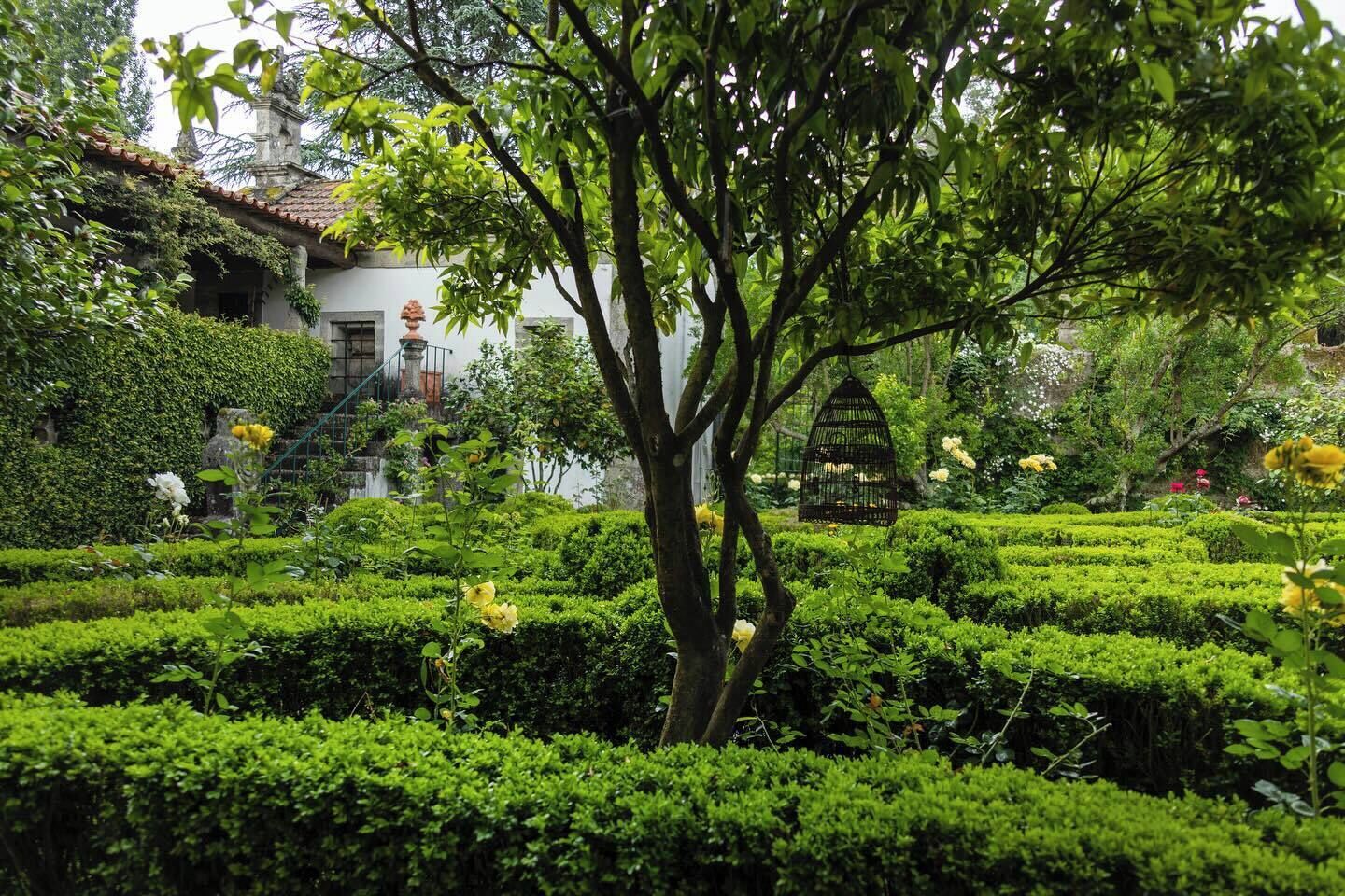 A lush garden with neatly trimmed hedges, a tree, and a birdcage.