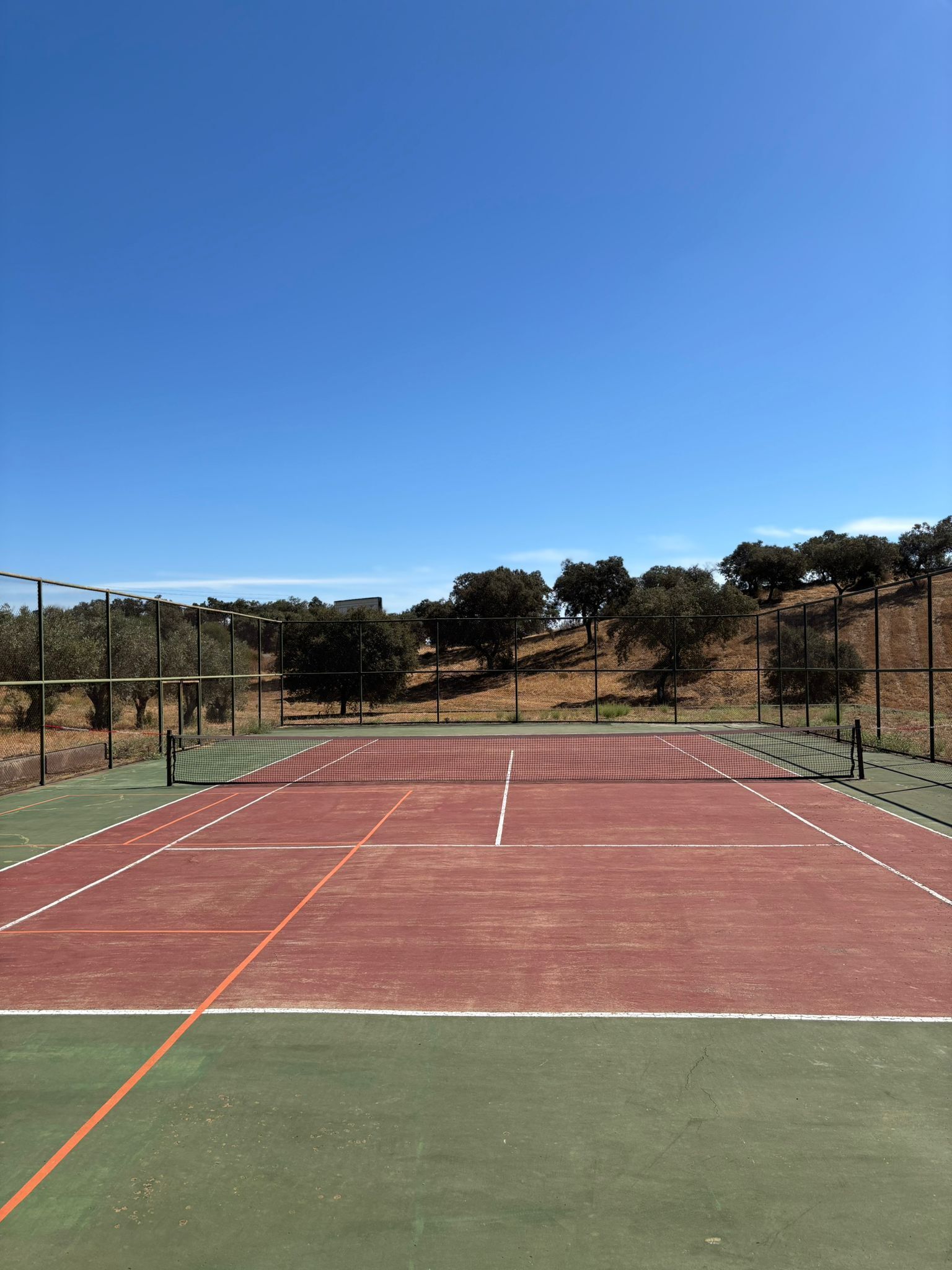 En tennisbana med nät, omgiven av ett staket och träd.