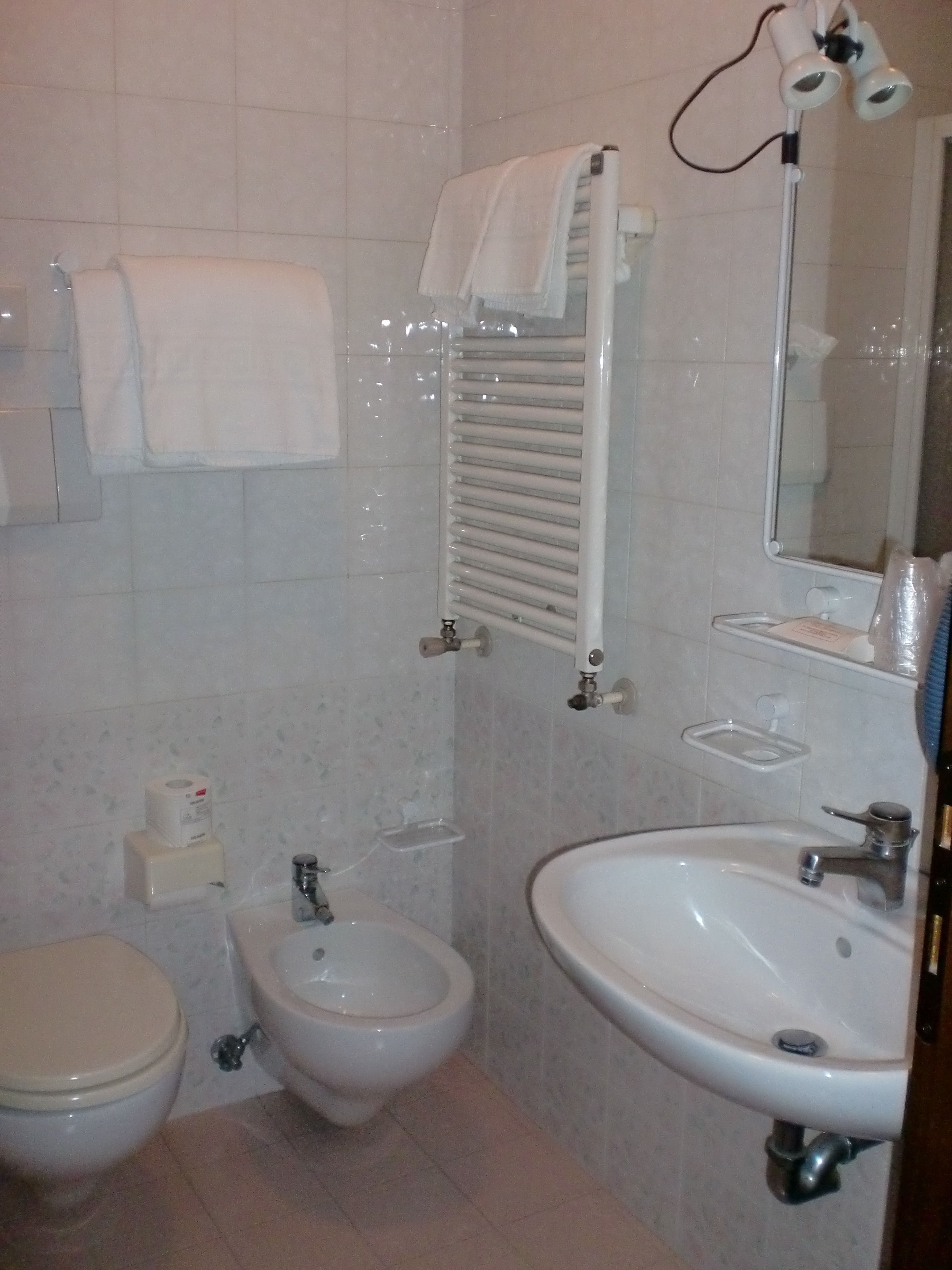 economy double room, 1 large single bed, annex building | bathroom | free toiletries, hair dryer, bidet, towels