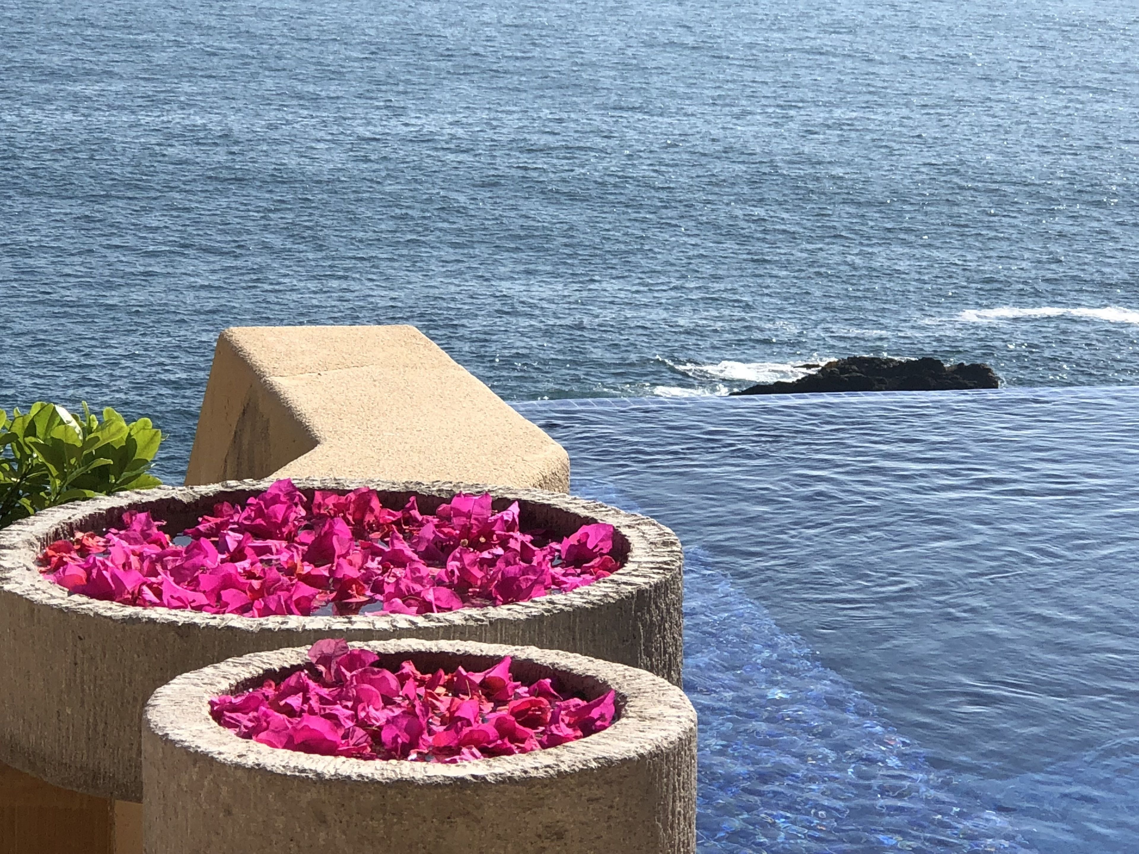 Vista al mar con una estructura de hormigón con flores rosadas.