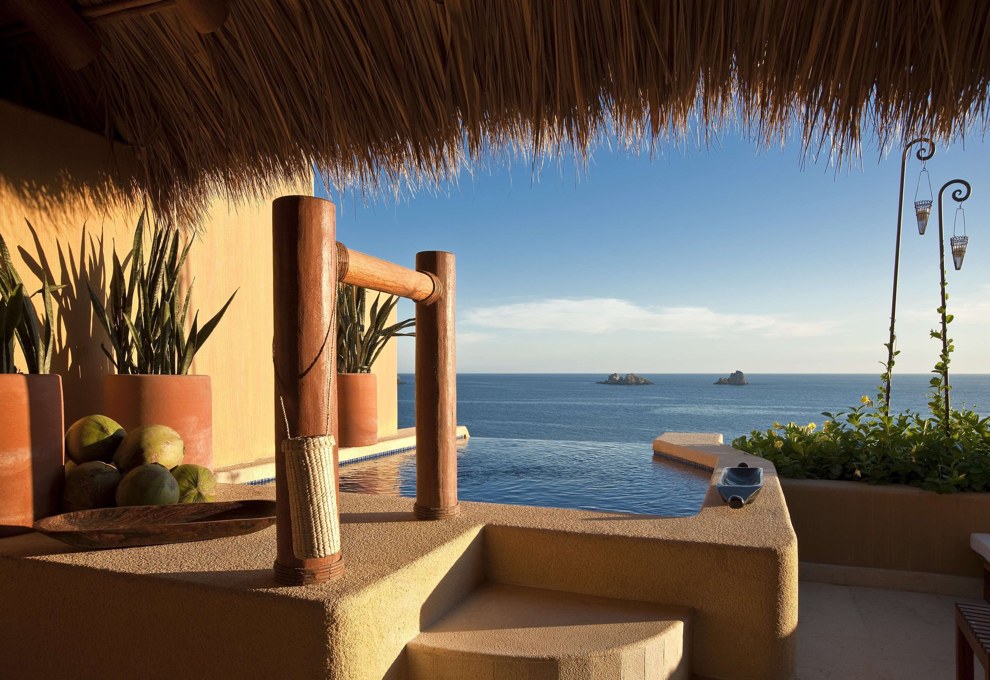 Zona de piscina con vista al mar, techo de paja y plantas en macetas.