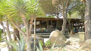 A covered outdoor seating area with tables and chairs, surrounded by palm trees and cacti. - Villaggio Porto Corallo (Villaputzu)