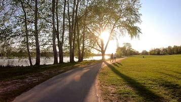 A paved path alongside a body of water, surrounded by trees and grassy areas.