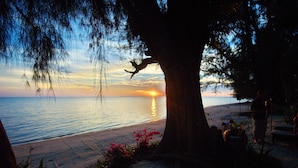A beach scene with a sunset, a tree, and a person standing by the water.