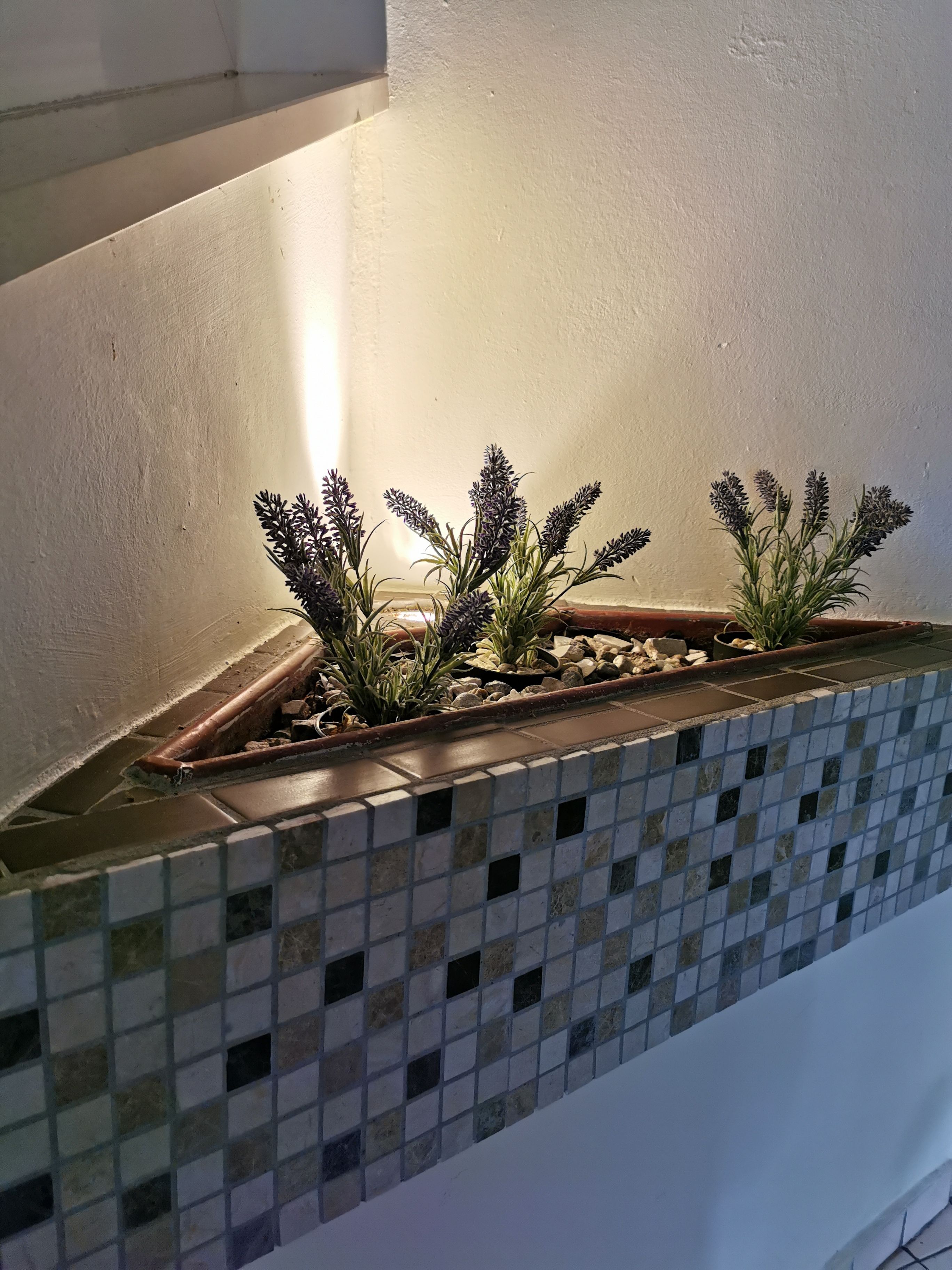 A corner with a tiled backsplash and a planter with plants.